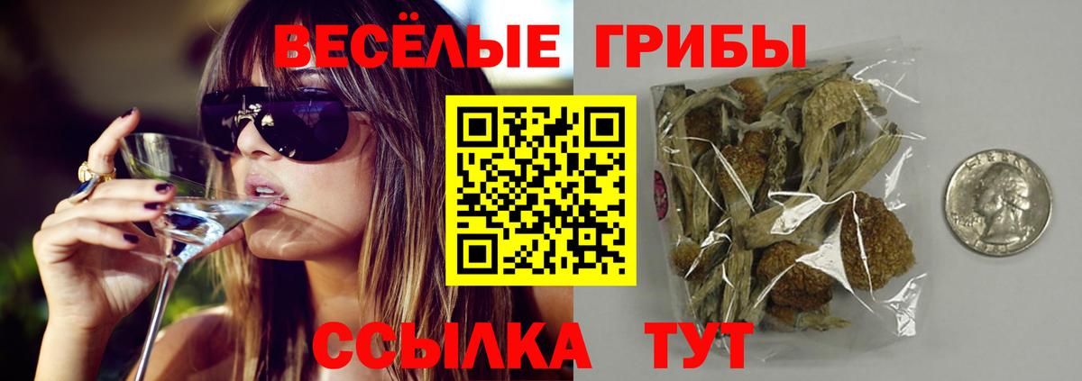 Галлюциногенные грибы Psilocybe Славянск-на-Кубани