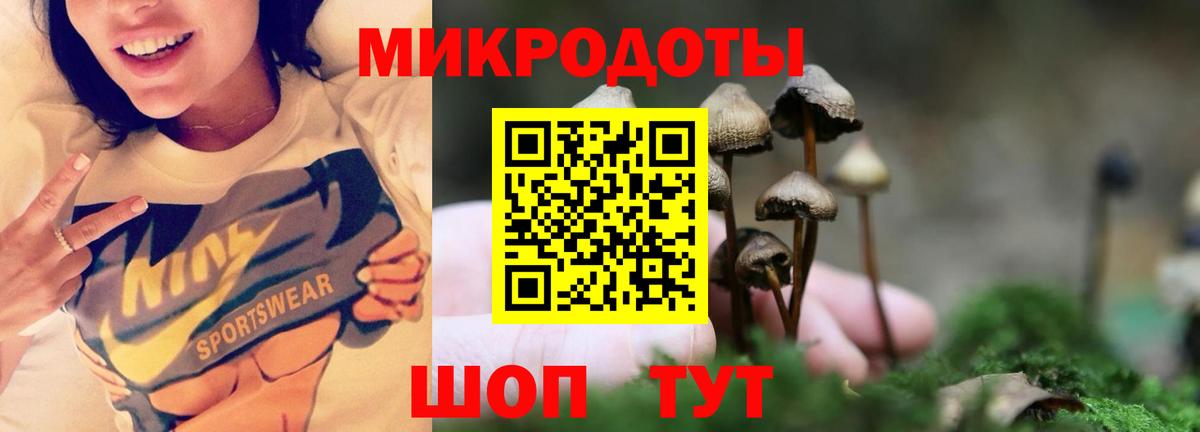 Галлюциногенные грибы мухоморы  Псилоцибиновые грибы Magic Shrooms  Вход с VPN  Славянск-на-Кубани 