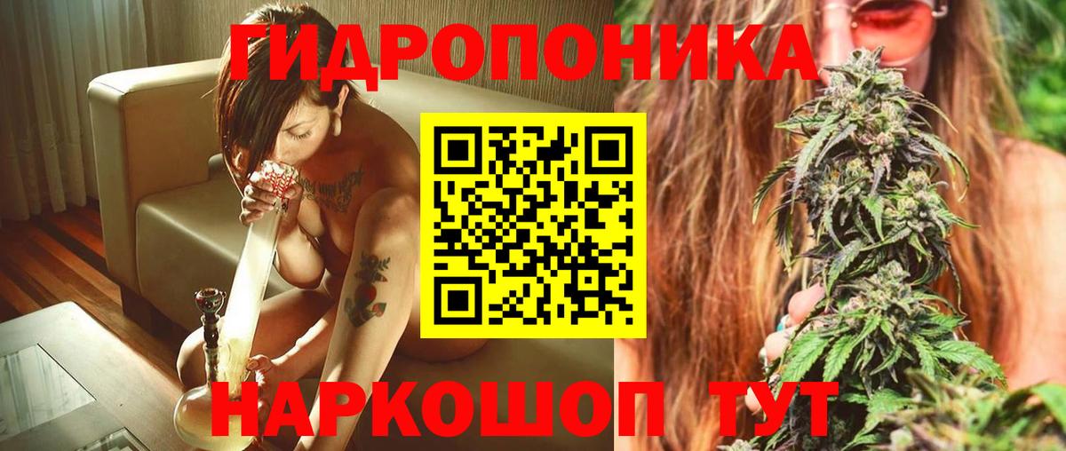 Бошки Шишки сатива  Конопля семена  Вход с VPN  Каннабис гибрид  Каннабис SATIVA & INDICA  Славянск-на-Кубани 